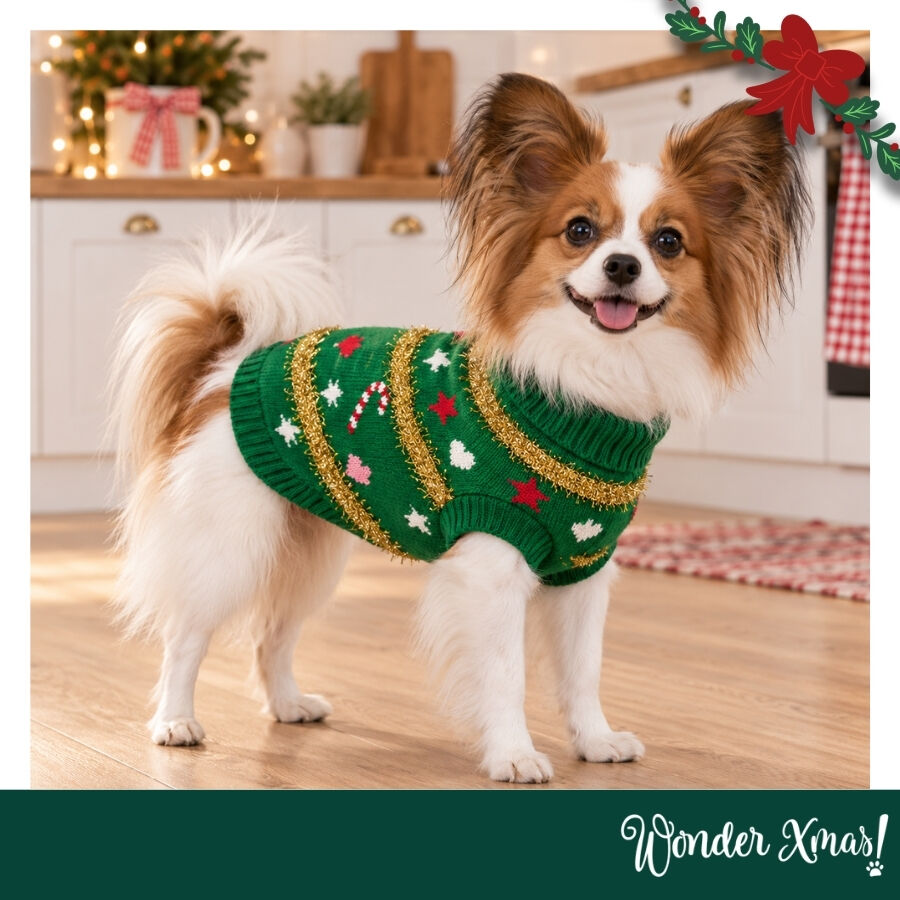 Wonder Christmas Camisola de Natal para c&atilde;es, , large Imagem n&uacute;mero 2
