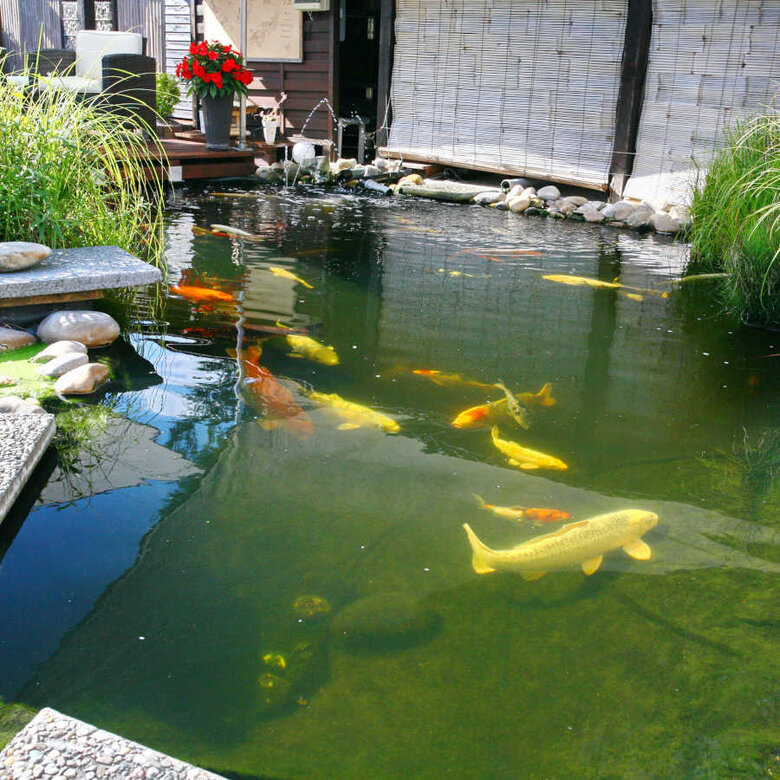 JBL ProPond Flakes Comida para peixe ,  Imagem número 9 JBL ProPond Flakes Comida para peixe , , large Imagem número 9