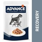 Advance Recovery Saquetas para cães e gatos, , large image number null