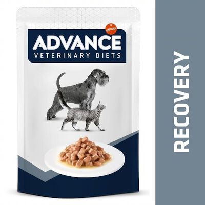 Advance Recovery Saquetas para cães e gatos