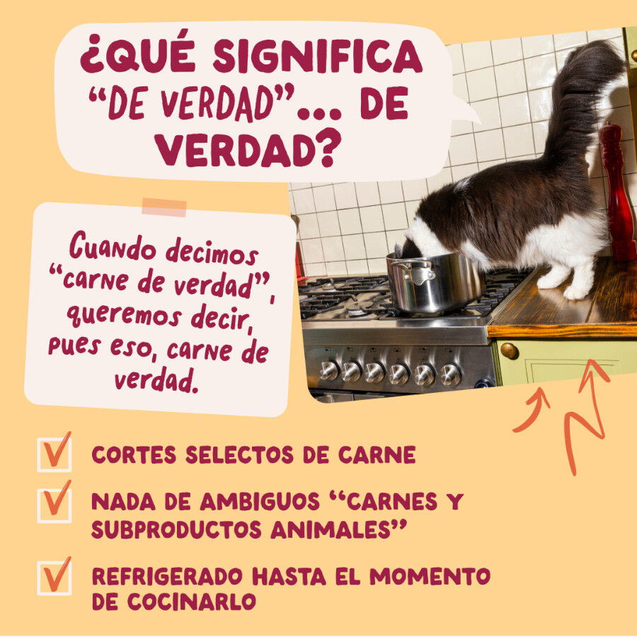 12 x 85 g Edgard & Cooper Feasts from the farm em molho em saqueta para gatos, , large Imagem n&uacute;mero 5