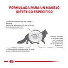 Royal Canin Veterinary Gastrointestinal ração para gatos , , large image number null