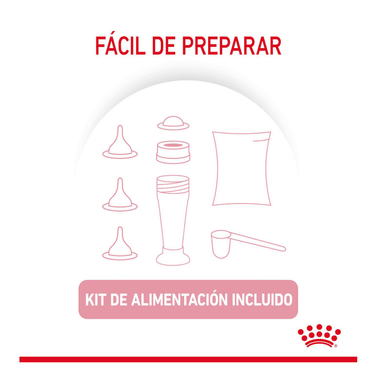 300 g Royal Canin Leite para gatinhos primeiro ano,  Imagem número 7 300 g Royal Canin Leite para gatinhos primeiro ano, , large Imagem número 7