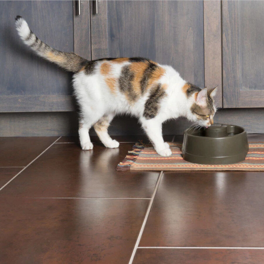 Petsafe Drinkwell&reg; Bebedouro Autom&aacute;tico para c&atilde;es e gatos, , large Imagem n&uacute;mero 4