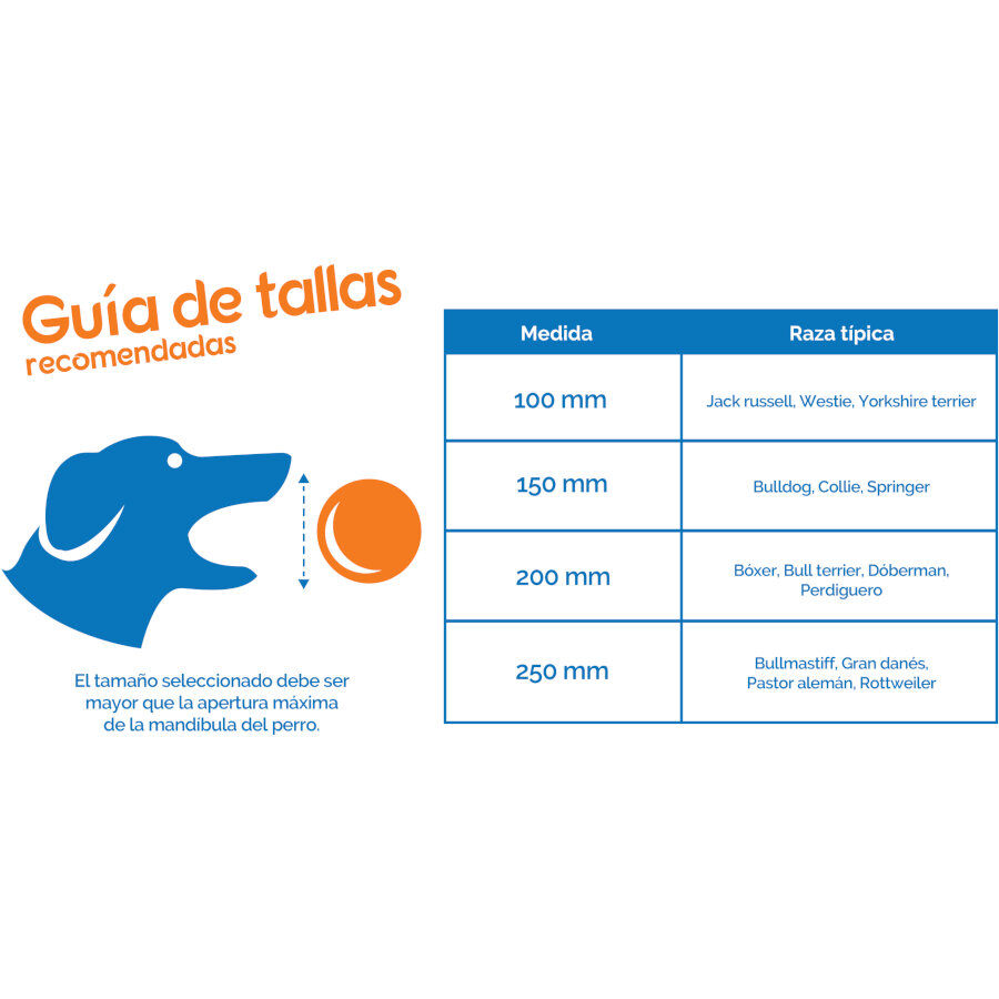 Coachi Boomer Ball bola para c&atilde;es, , large Imagem n&uacute;mero 4