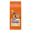 Dog Chow Mature Senior Pollo pienso para perros Indicador imagem número 1