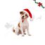 Wonder Christmas Gorro de Natal para c&atilde;es, , large Indicador imagem n&uacute;mero 1