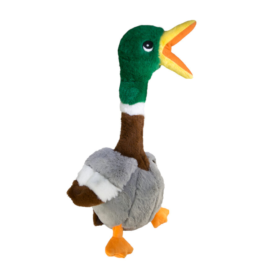 Kong Shakers Honkers Pato de peluche para c&atilde;es, , large Imagem n&uacute;mero 1