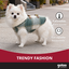Gotoo Casaco Tartan com Capuz para c&atilde;es, , large Indicador imagem n&uacute;mero 6
