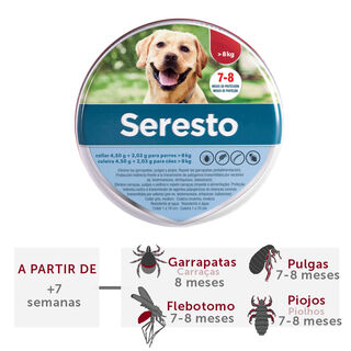 Seresto Coleira Antiparasitária para cães