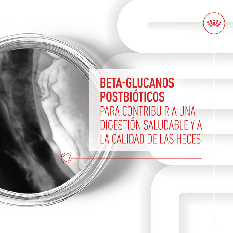 100 g Royal Canin Immunity & Digestion Chews Puppy Suplemento Nutricional para Cães,  Imagem número 5 100 g Royal Canin Immunity & Digestion Chews Puppy Suplemento Nutricional para Cães, , large Imagem número 5