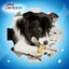 60 sticks Purina Dentalife raça pequena multipack Pack poupança!, , large Indicador imagem número 7