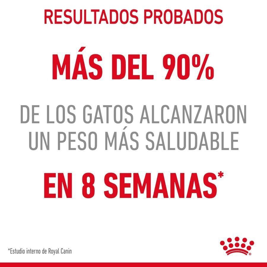 8 kg Royal Canin Adult Light Weight Care ra&ccedil;&atilde;o para gatos, , large Imagem n&uacute;mero 5
