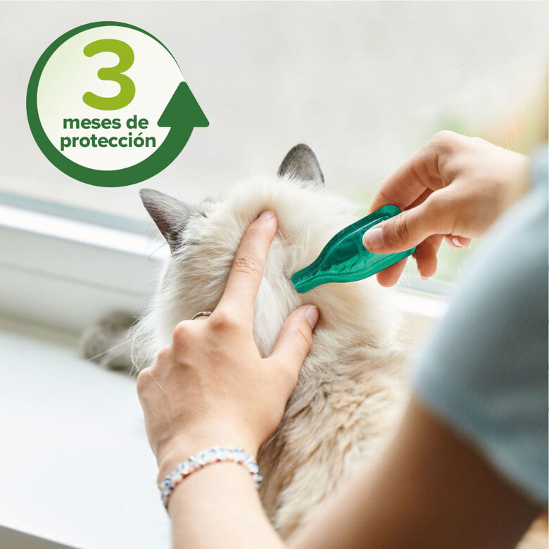 Beaphar Pipetas Repelentes para gatos, , large image number null
