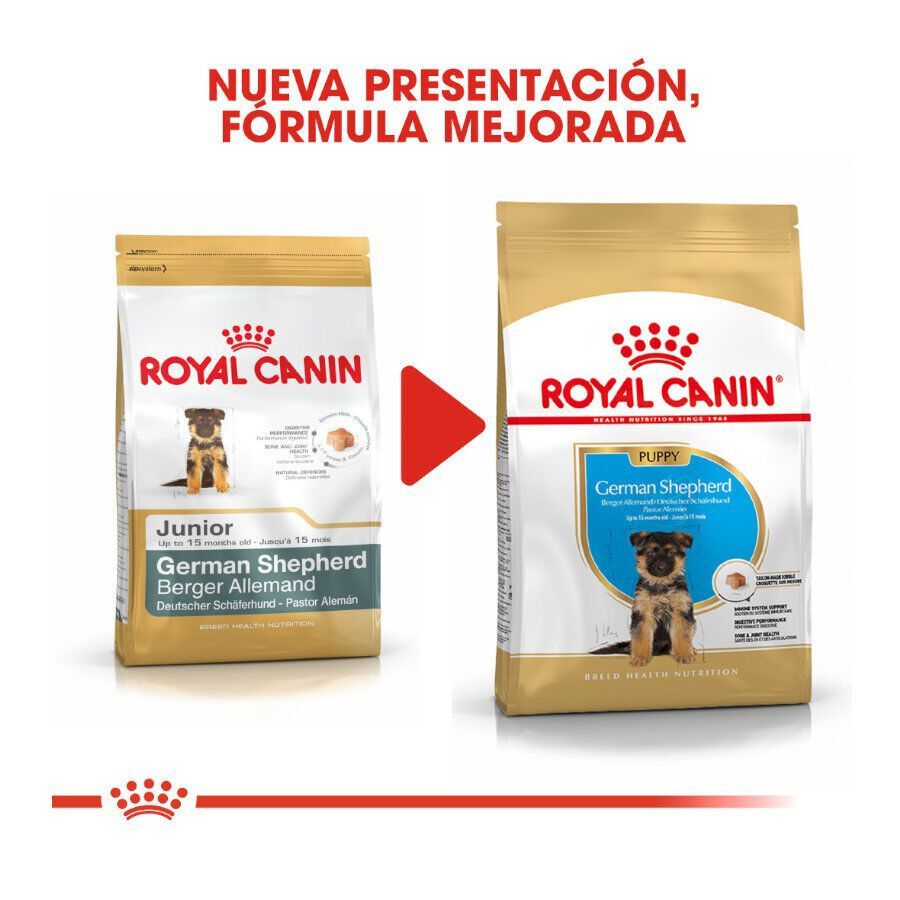 12 kg Royal Canin Puppy Pastor Alem&atilde;o ra&ccedil;&atilde;o para c&atilde;es, , large Imagem n&uacute;mero 3