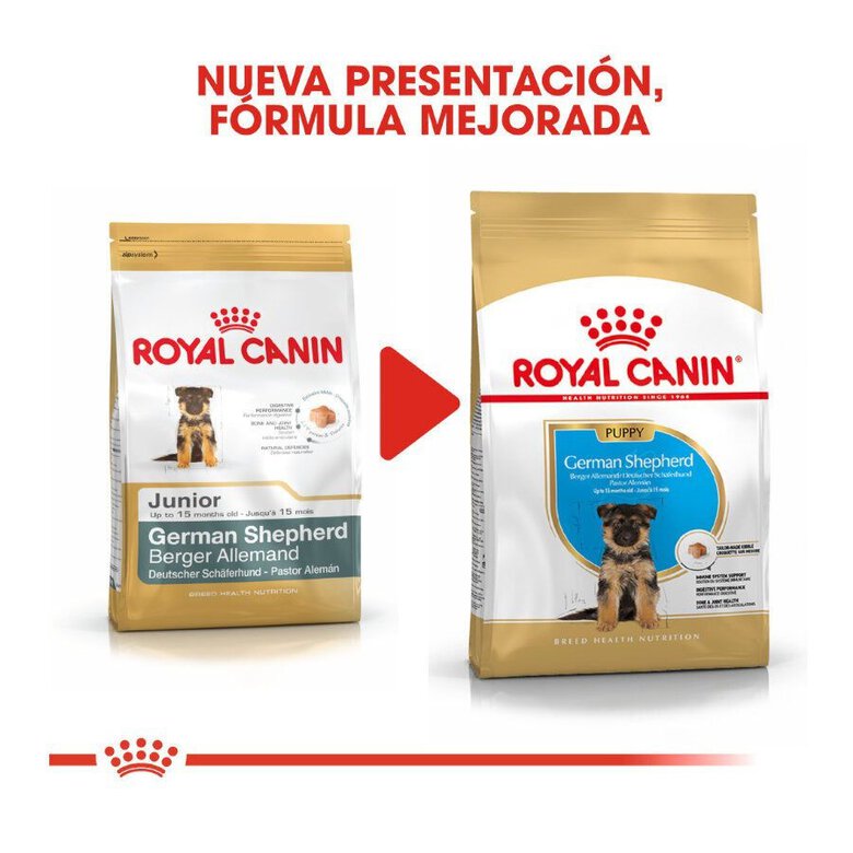 3 kg Royal Canin Puppy Pastor Alemão ração para cães,  Imagem número 3 3 kg Royal Canin Puppy Pastor Alemão ração para cães, , large Imagem número 3