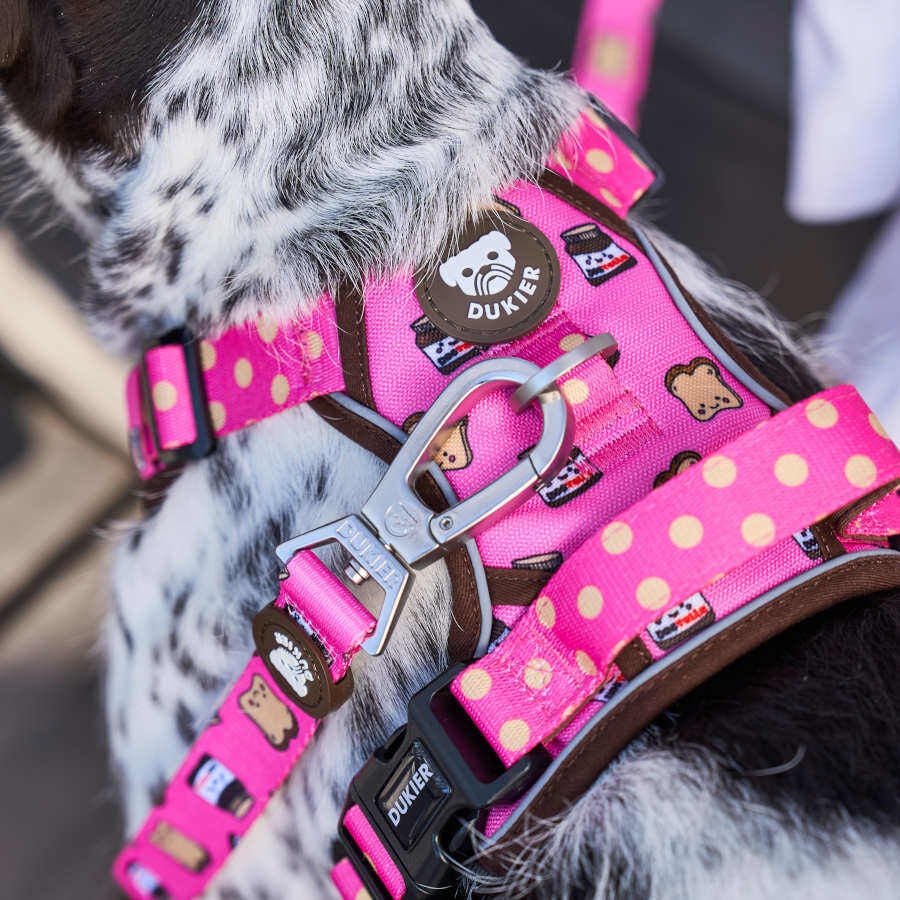 Dukier Dogtella Peitoral trail para c&atilde;es, , large Imagem n&uacute;mero 3