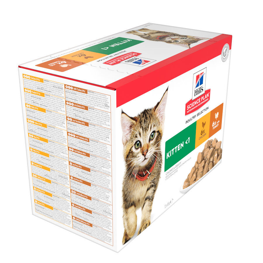 12 saquetas x 85 g Hill's Science Plan Kitten Frango e Peru em Molho Sach&ecirc; para Gatos, , large Imagem n&uacute;mero 3