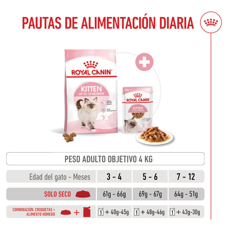 10 kg Royal Canin Kitten ração para gatos,  Imagem número 8 10 kg Royal Canin Kitten ração para gatos, , large Imagem número 8