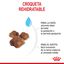 10 kg Royal Canin Mother & Baby ração para gatos, , large Indicador imagem número 4