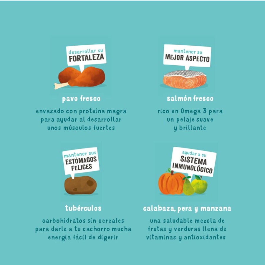 12 kg Edgard & Cooper Puppy Ra&ccedil;&atilde;o de salm&atilde;o e peru para cachorros, , large Imagem n&uacute;mero 3