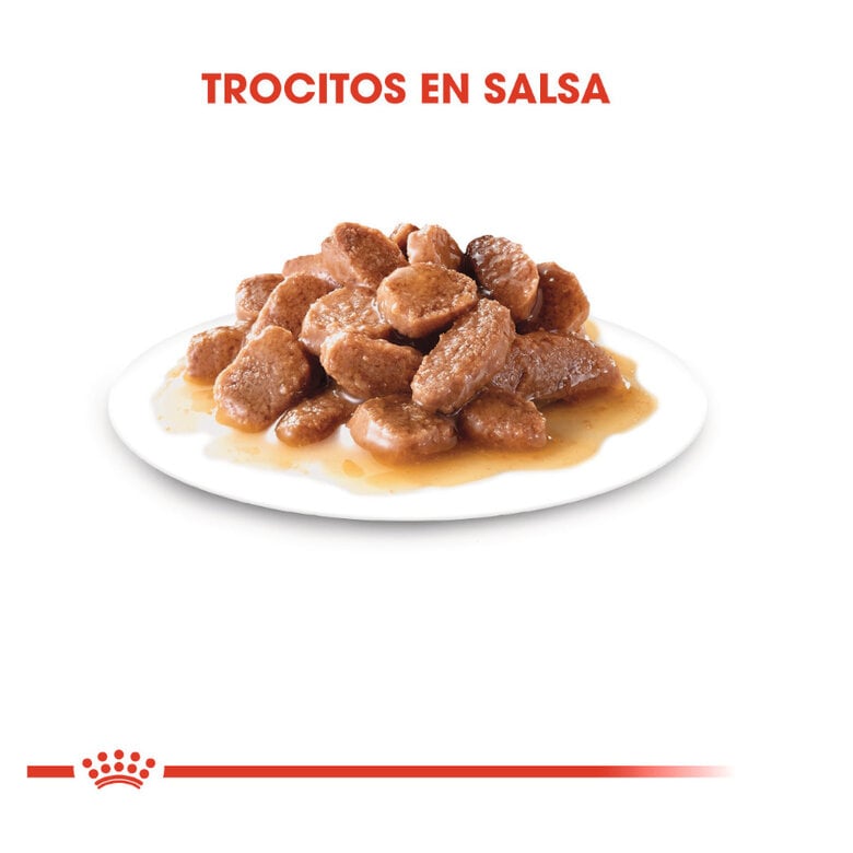 85 g Royal Canin Ageing 12+ alimento húmido com molho em saquetas para gatos,  Imagem número 4 85 g Royal Canin Ageing 12+ alimento húmido com molho em saquetas para gatos, , large Imagem número 4