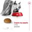 Royal Canin X-Small 8+ Mature ração para cães, , large Indicador imagem número 6