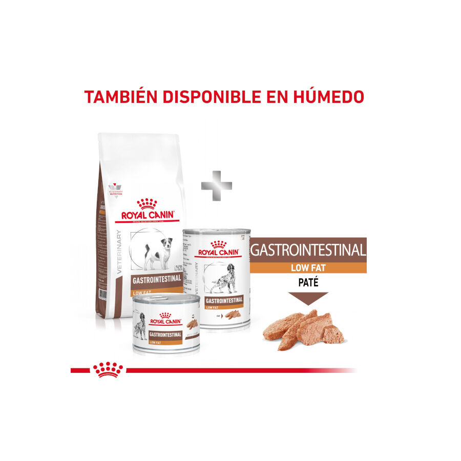 8 kg Royal Canin GastroIntestinal Low Fat Ra&ccedil;&atilde;o para c&atilde;es pequenos, , large Imagem n&uacute;mero 9