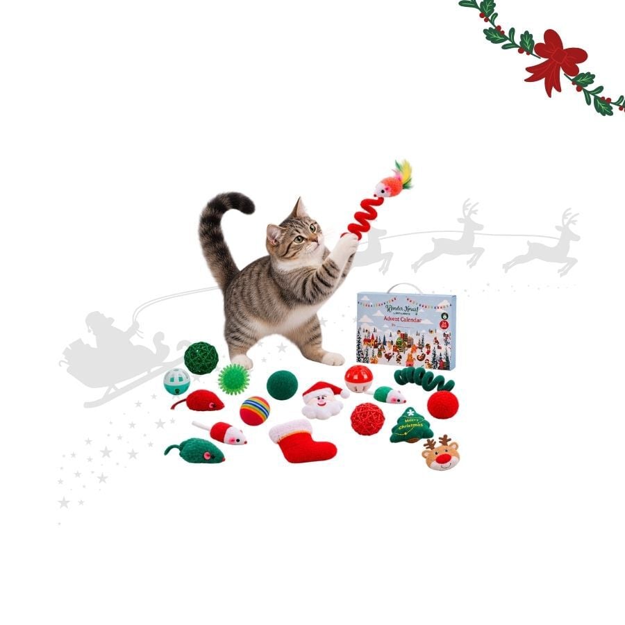 Wonder Christmas Calend&aacute;rio do Advento para gatos, , large Imagem n&uacute;mero 1