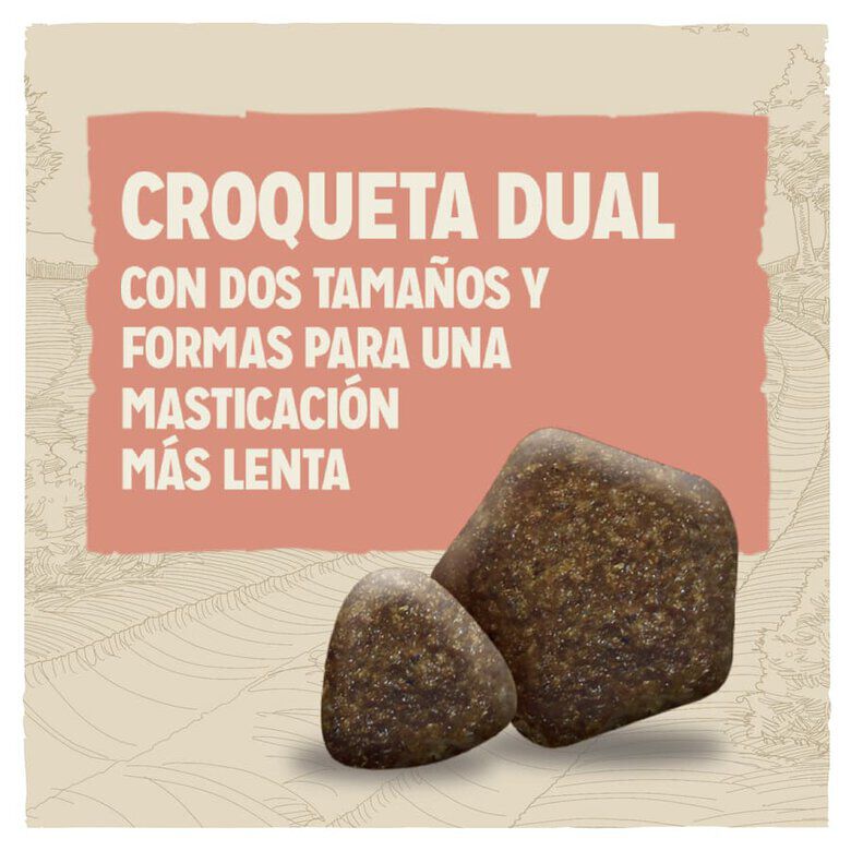 14 kg Dog Chow Active Frango ra&ccedil;&atilde;o para c&atilde;es, , large Imagem n&uacute;mero 3