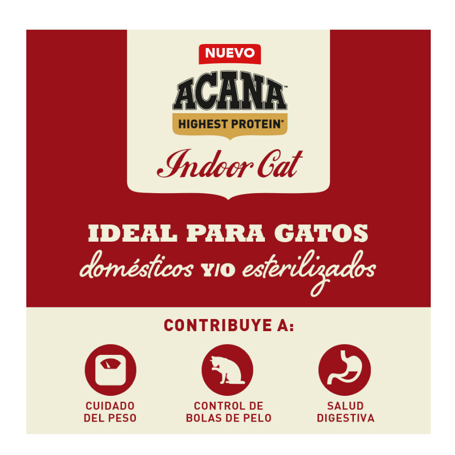 4.5 kg Acana Highest Protein Indoor Ra&ccedil;&atilde;o de frango, salm&atilde;o e truta para gatos, , large Imagem n&uacute;mero 2