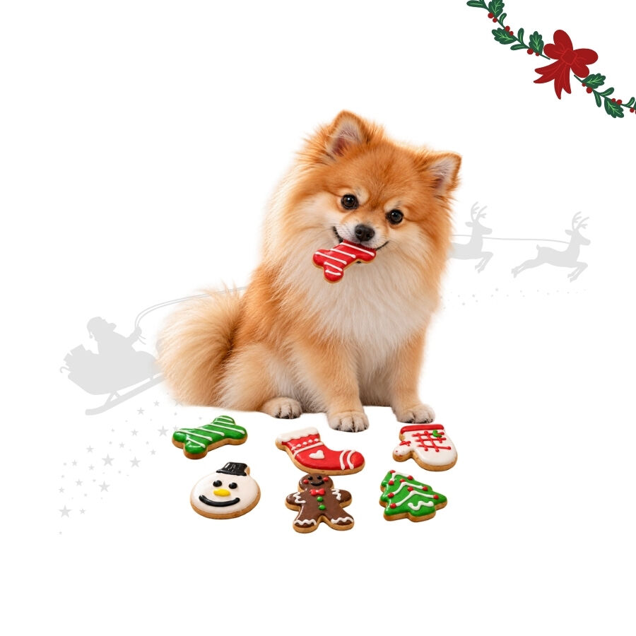 1 pack x 7 uns. Wonder Christmas Pack Presente de Bolachas Snacks para C&atilde;es, , large Imagem n&uacute;mero 1