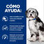 Hill's Prescription Diet ON-Care Frango ração para cães, , large Indicador imagem número 3