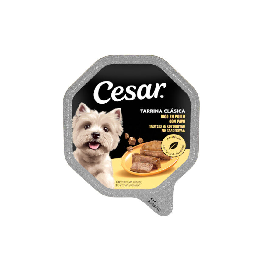 300 g Cesar Frango e F&iacute;gado Terrina em Geleia para C&atilde;es, , large Imagem n&uacute;mero 1