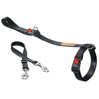 Flamingo trela ​​de treinamento para cães
