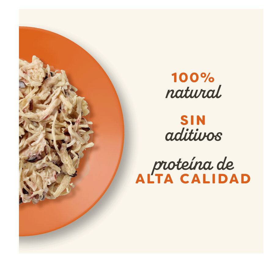 12 saquetas x 70 g Applaws Selection Caldo de Frango saqueta para gatos - Multipack, , large Imagem n&uacute;mero 2