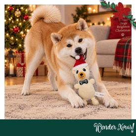 Wonder Christmas Ouri&ccedil;o Peluche para c&atilde;es