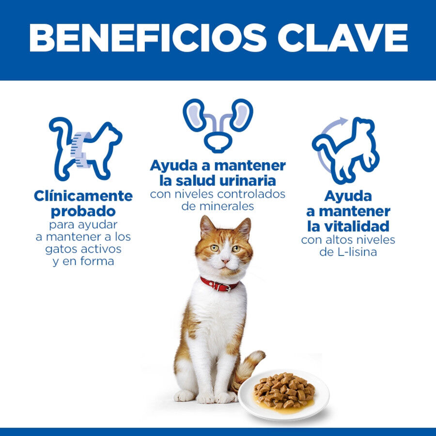 85 g Hill's Science Plan Sterilised Young Adult Peru em Molho saquetas para gatos, , large Imagem n&uacute;mero 5