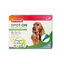Beaphar Pipetas Repelentes para cães, , large Indicador imagem número 1