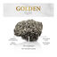 Golden Grey Areia de gato aglutinante, , large Indicador imagem número 6