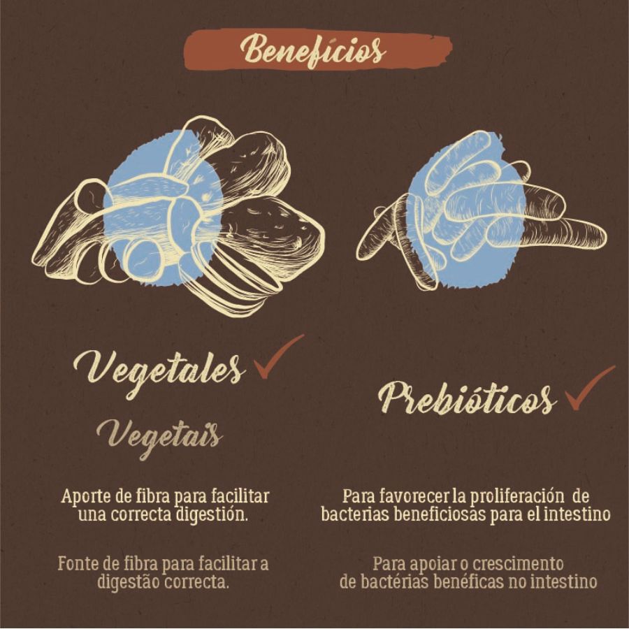 2 kg True Origins Pure Kitten Sem gr&atilde;os Ra&ccedil;&atilde;o para gatinhos com salm&atilde;o, , large Imagem n&uacute;mero 6