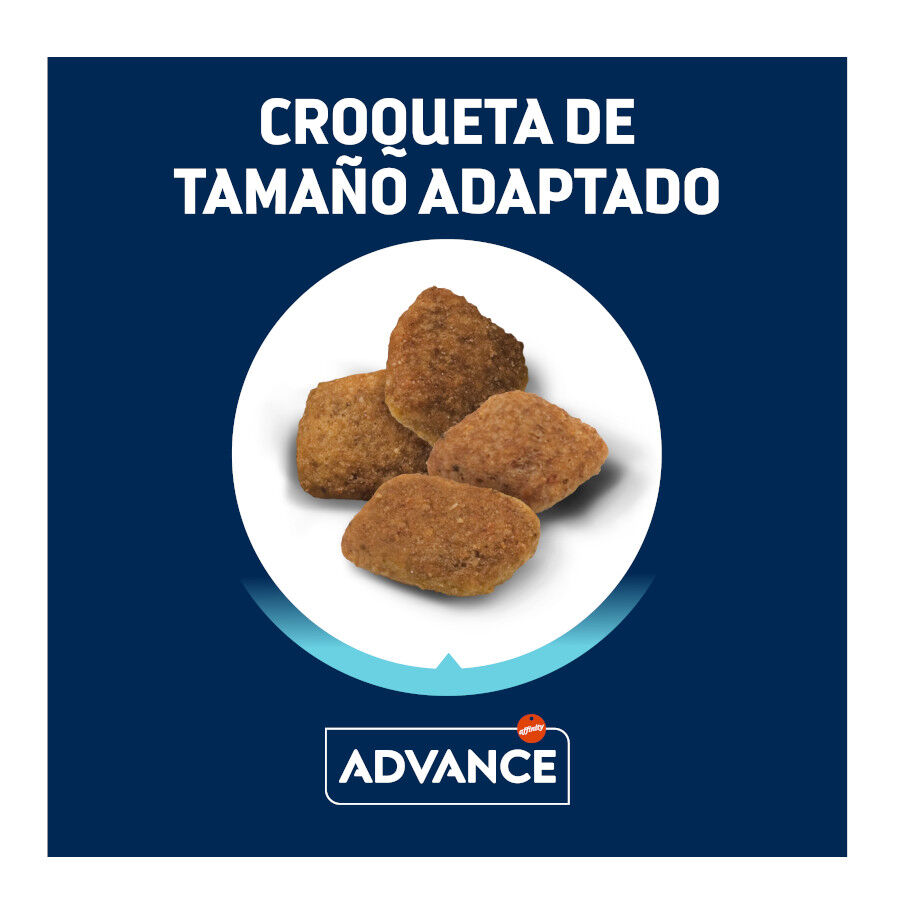 12 kg Advance Active Defense Medium Senior +7 Frango e Arroz ra&ccedil;&atilde;o para c&atilde;es, , large Imagem n&uacute;mero 3