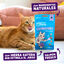 50 g Edgard & Cooper Galletas Crunchies Salmon para gatos, , large Indicador imagem número 2