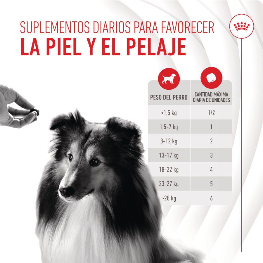 240 g Royal Canin Skin & Coat Chews Suplemento Nutricional Adulto para C&atilde;es, , large Imagem n&uacute;mero 7