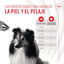 240 g Royal Canin Skin & Coat Chews Suplemento Nutricional Adulto para Cães, , large Indicador imagem número 7