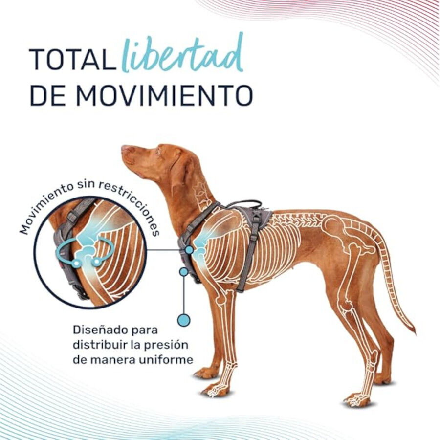Halti Peitoral Anat&oacute;mico azul-esverdeado para c&atilde;es pequenos, , large Imagem n&uacute;mero 2