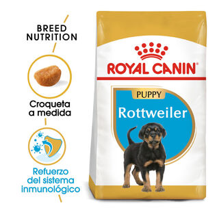 Royal Canin Puppy Rottweiler ração para cães