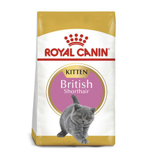 Royal Canin British Shorthair Kitten Ração para gatos