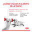 300 g Royal Canin Leche para gatitos primer año, , large Indicador imagem número 4