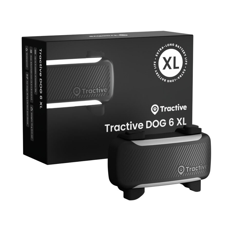 Tractive DOG 6 XL Preto GPS para c&atilde;es, , large Imagem n&uacute;mero 1